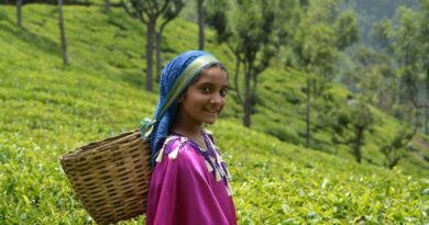 Munnar