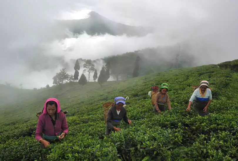 Darjeeling, West Bengal