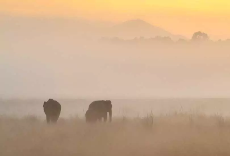 Jim Corbett, Uttarakhand