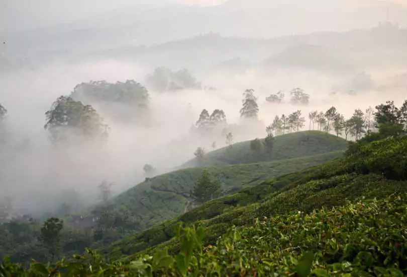 Munnar