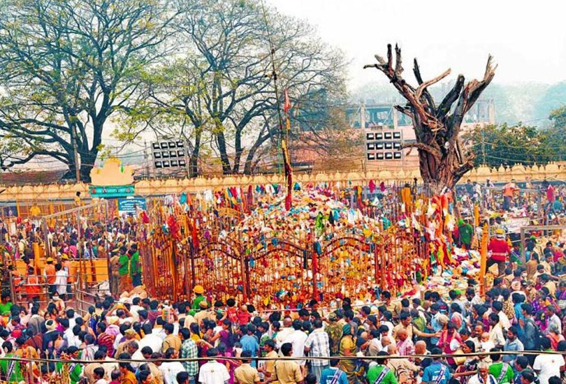 Medaram Jatara