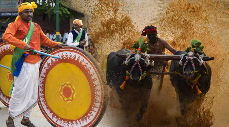 Annual Cultural Extravaganza in Karnataka