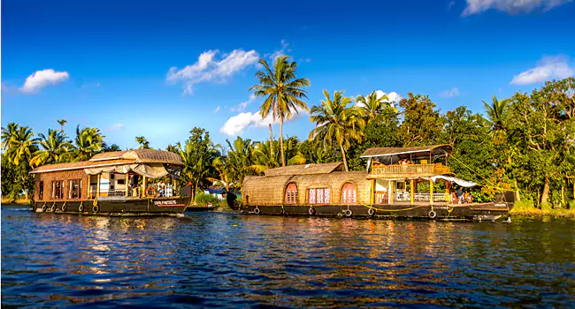 alleppey activity