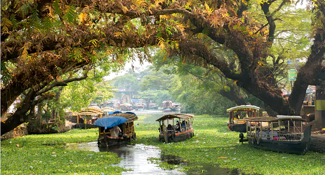 alleppey best time