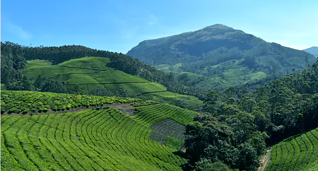 anamudi peak