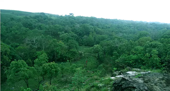 balpakram national park