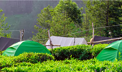 camping in munnar