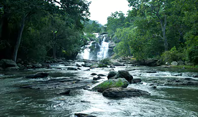 chinnar wildlife sanctuary