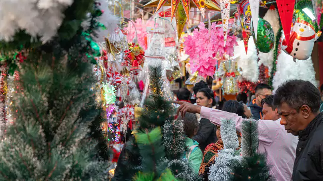 Christmas Festival 2024, India 