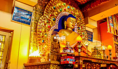 Explore the Dalai Lama Temple Complex