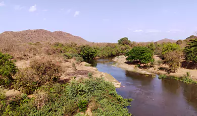 gir national park