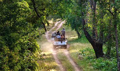 jeep safari