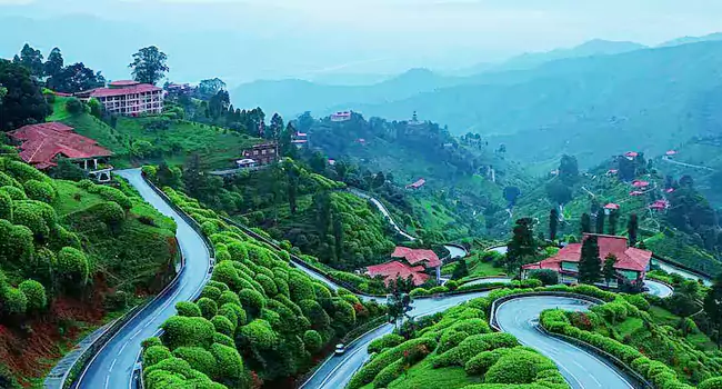 Kasauli Travel Guide | A Complete Kasauli Tourism Guide