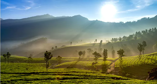 kerala