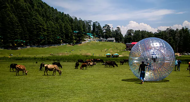 khajjiar activity