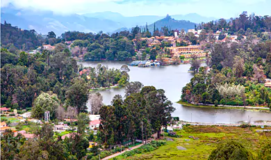 kodaikanal (2)