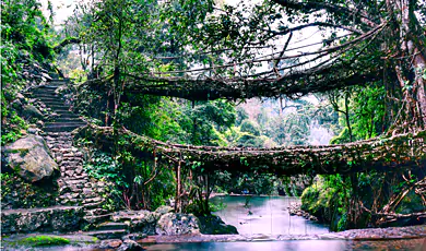 mawlynnong, meghalaya