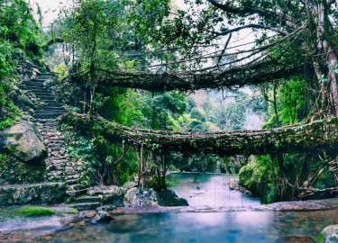 Meghalaya-Unveil the Beauty of Shillong and Mawlynnong