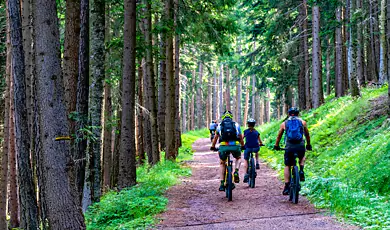 mountain biking in munnar