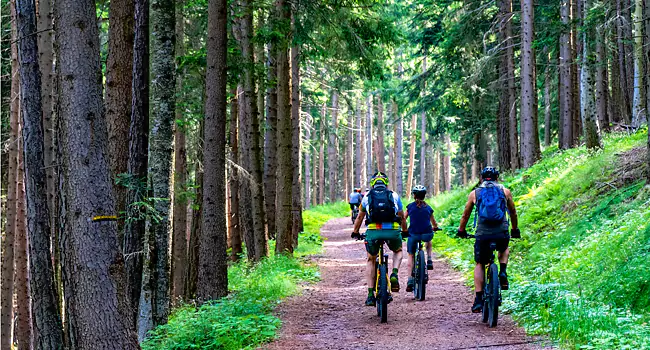 mountain biking in munnar