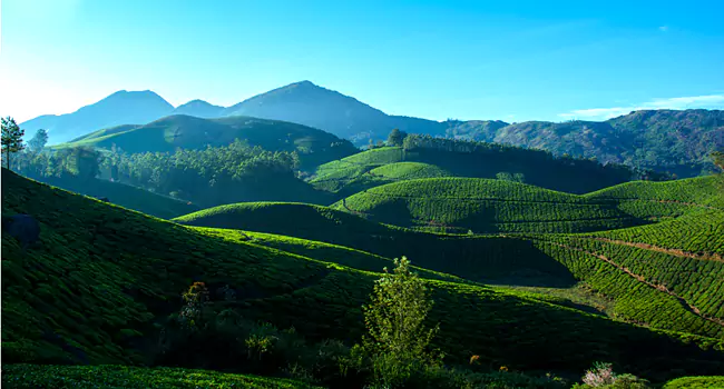 munnar best time