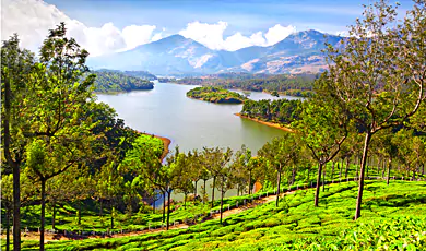 munnar lake