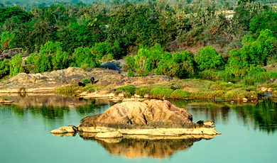 panna national park