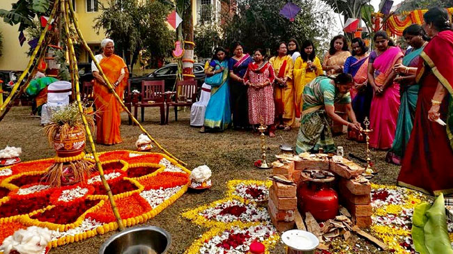 Pongal Festival 2024, Tamil Nadu