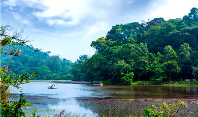 pookode lake