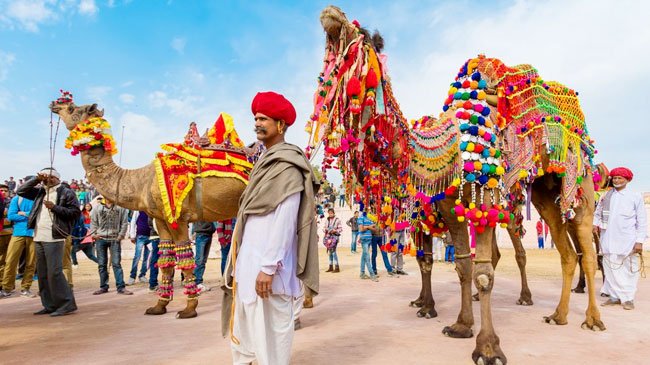 Pushkar Fair Festival 2024, Rajasthan 