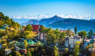 shimla