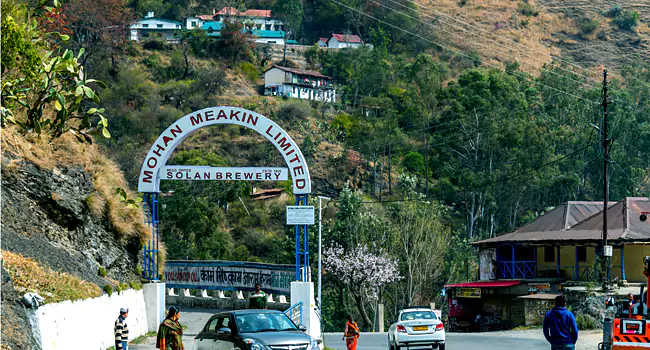 solan brewery