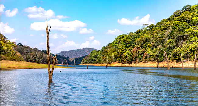 thekkady best time