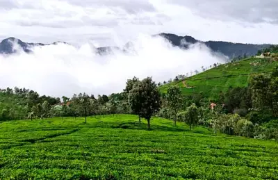 Coonoor