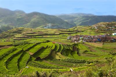 Kodaikanal