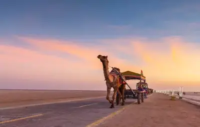 Rann of Kutch