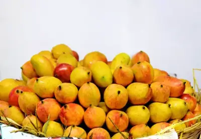 Delhi Tourism Mango Festival