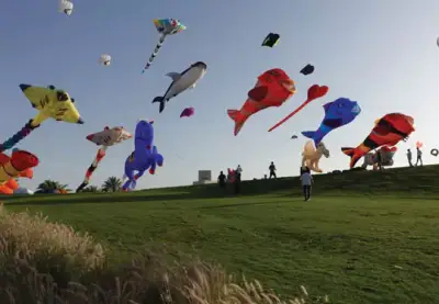 National Kite Festival