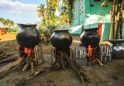 Pongal Festival Tamil Nadu 