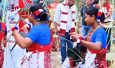 ali ai ligang assam