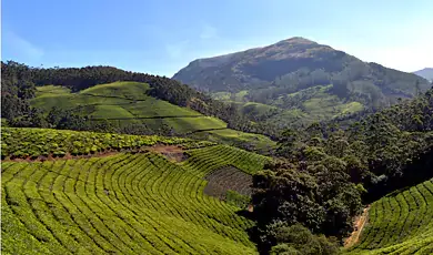 anamudi peak