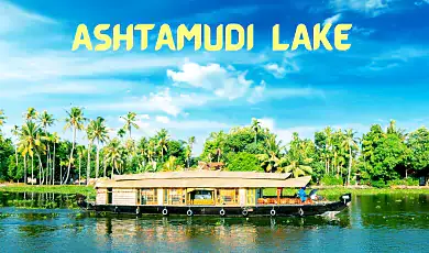 ashtamudi lake kerala