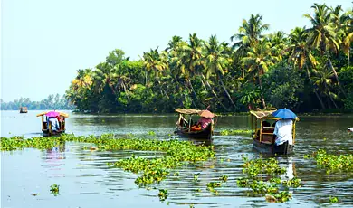 backwaters kozhikode