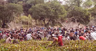 bhogali bihu in assam