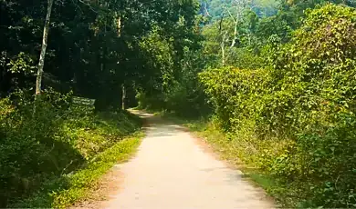 brahmagiri wildlife sanctuary