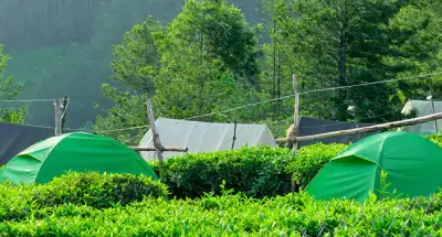 camping in ooty