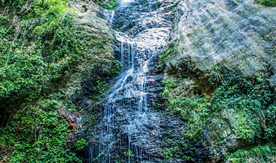 chadwick waterfalls