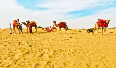 desert national park jaisalmer