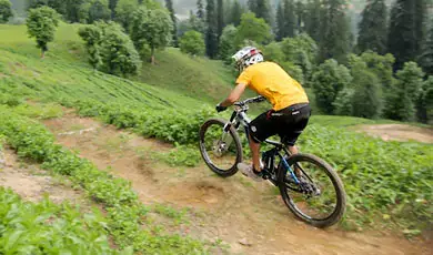 Downhill Cycling 