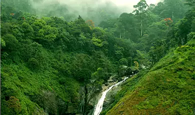 eravikulam national park